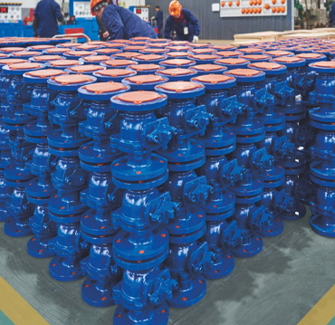 Changshui Technology Group Co., Ltd.